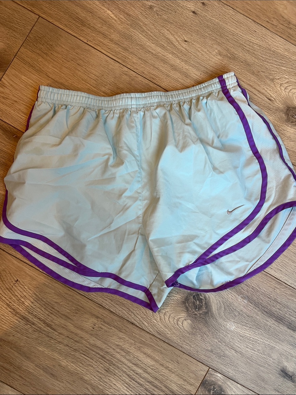 Nike Women's Pale Blue Athletic Shorts with Purple Trim